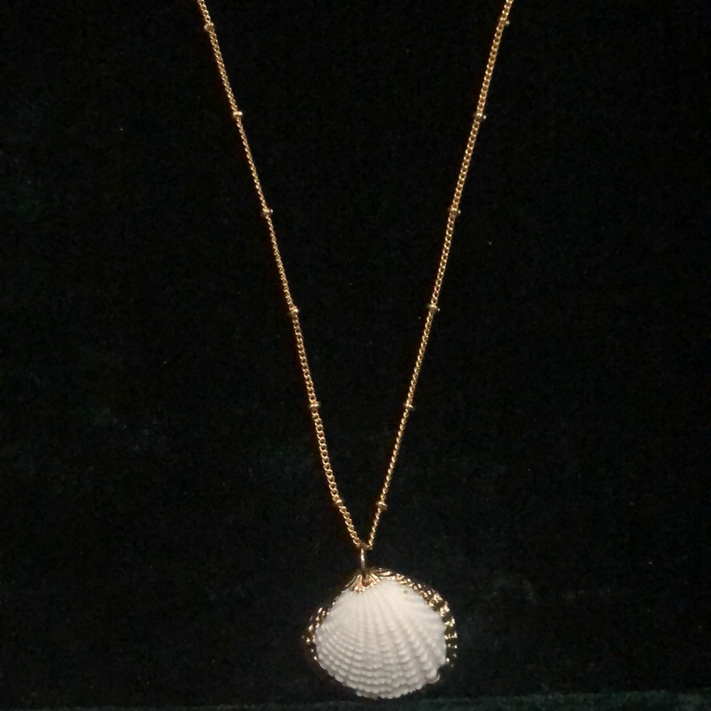 14kt gold plated scallop shell necklace